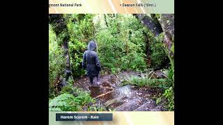 Mt Taranaki  Egmont National Park  Harem Scarem  Rain shorts [upl. by Batholomew539]