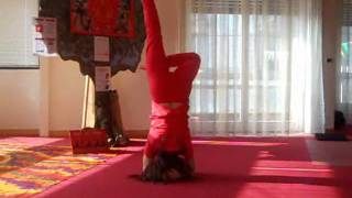 KYMS YOGA  KANDASANA  Kriya yoga Maha Sadhana Scuola di Milano [upl. by Nairad]