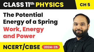 The Potential Energy of a Spring  Work Energy and Power  Class 11 Physics Chapter 5 CBSE 202425 [upl. by Aliekat]