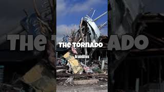 The 2013 Oklahoma Tragedy [upl. by Moorish]