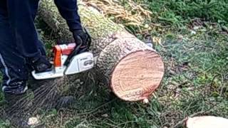 STIHL 026 Chainsaw Cuttting firewood [upl. by Urdna328]