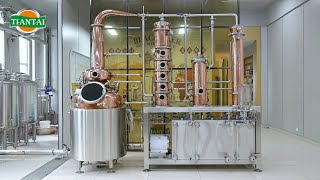 Copper distillation equipment  brew whiskey rum gin and other spirits [upl. by Artenal337]