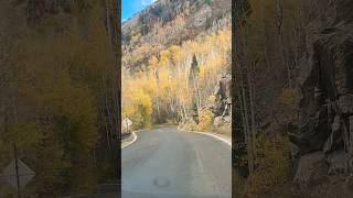 Colorado ❤️ fall colors 🍂🍁aspen colorado roadtrip new shorts travel nature pianomusic [upl. by Apurk]