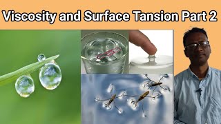 Viscosity and Surface Tansion Class 11 in Bengali ll Surface Tansion ll Basic Concept ll Amit Sir ll [upl. by Flynn85]