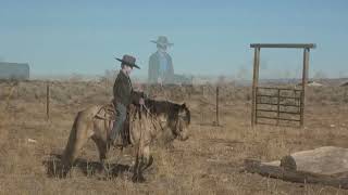 Cody Horse Sale Ervin Miller Buckskin [upl. by Attennod202]