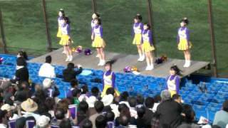 立教チア2010 東京六大学野球 立教大学の応援 [upl. by Alioz]