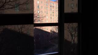 East Village Apartment Tour Stuytown 4 bedroom [upl. by Roze178]