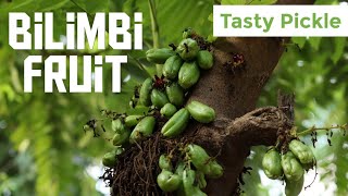 Bilimbi Fruit Pickle  കൊതിയൂറും ഇരുമ്പൻ പുളി അച്ചാർ [upl. by Lachus]