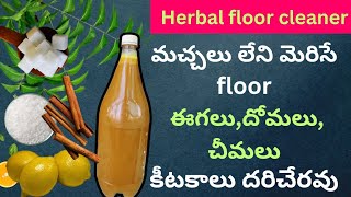 herbal floor cleaner making at homeదీనితో floor క్లీన్ చేస్తే ఇంట్లోకి ఈగలు దోమలుచీమలు దరిచేరవు [upl. by Pulchi220]