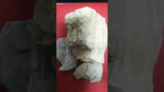 Rocas de calizas rocas sedimentarias mineralesnaturales youtubeshorts mineralogia mineral [upl. by Ttenaj387]