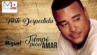 Triste Despedida  Luis Miguel del Amargue  Audio Oficial  Bachata [upl. by Henderson663]