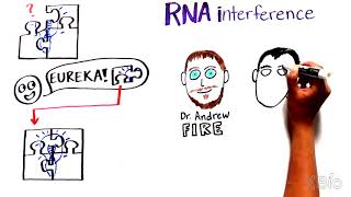 What is RNA interference RNAi [upl. by Melliw]