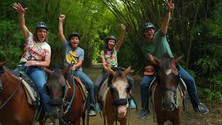 Best Horseback Riding in Puerto Rico [upl. by Shiller]