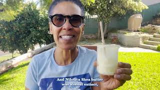 Nilotica Shea Butter The Social Impact [upl. by Nyltac925]