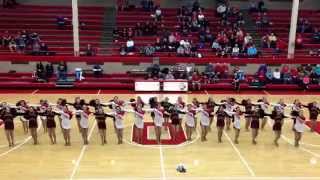 Ottawa Township High School Poms and Shepherd Middle School Poms  quotTongue Tiedquot  January 24 2015 [upl. by Alleiram469]