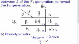 Genetics  5  Punnett Squares  Sci 10 May30 [upl. by Abbie]