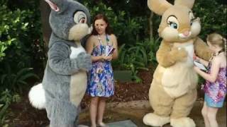 Thumper and Miss Bunny in Walt Disney World Animal KIngdom [upl. by Ailimaj523]