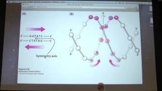 13 Kevin Aherns Biochemistry  Enzyme Mechanisms amp Regulation [upl. by Cassandry]