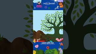 Amazing Animal Homes  Animal Homes Vocabulary for Kids  Animal Names and Homes [upl. by Egni]