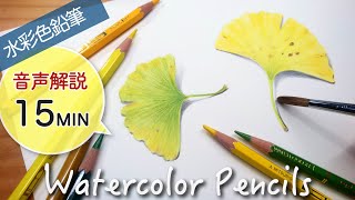 【水彩色鉛筆】 イチョウの葉の描き方 【簡単・リアル】 Drawing Ginkgo leaves with Watercolor pencils [upl. by Pierette]