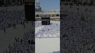 Kaaba Live🔴 Today  October 12 2024  Ytshorts tawafekaaba kaabalive original makkahofficial [upl. by Caravette10]