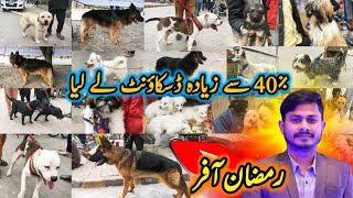 Ramadan Offer 40 Har Dog pe Discount le Liya 10 Mar  Tollinton Market Lahore Special Dogs Market [upl. by Kaliski]