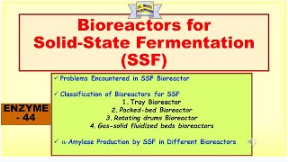 Bioreactors for SolidState Fermentation SSF  Alpha amylase production in Bioreactor  Enzyme 45 [upl. by Bunni]