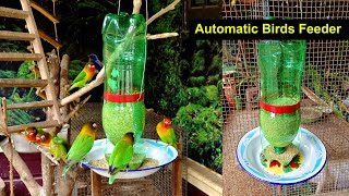 Easy Way To Make Automatic Birds Feeder  How to Make Birds Feeder 7Up Bottle [upl. by Saunders835]