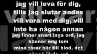 AMC  Jag kan inte ljuga för dig lyrics [upl. by Annorah]