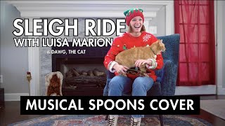 Musical Spoons Sleigh Ride [upl. by Jenn383]