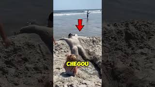 As pessoas na praia não acreditaram no que viram 😮 [upl. by Olnay]