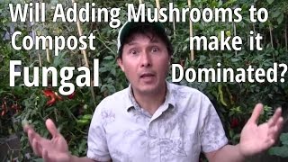 Will adding Mushrooms to Compost Make it Fungal Dominated amp More Gardening QampA [upl. by Asek]