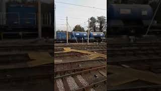 Class 69 Passes Shoeburyness Depot c2c [upl. by Assiran]