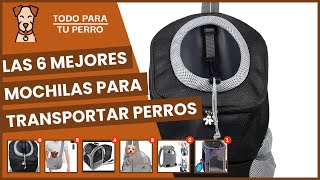 Las 6 mejores mochilas para transportar perros [upl. by Ania]