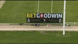 BUBBLY BREEZER Gets His First Win In The TOWCESTER MAIDEN DIV 1 Race In Trap 3 At Towcester [upl. by Geaghan]