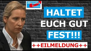 Schonungslose Wahrheit Alice Weidel redet Klartext [upl. by Jacquetta]