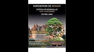 Rendez vous à lexposition de bonsai au chateau de Monbazillac le 18 et 19 novembre 2017 [upl. by Ralat]