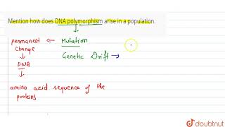 Mention how does DNA polymorphism arise in a population [upl. by Leeth]