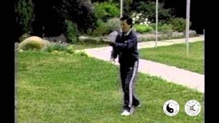 Our Founder Master Moy demonstrates Taoist Tai Chi arts [upl. by Alaecim]