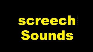 Screech Sound Effects All Sounds [upl. by Barnie6]