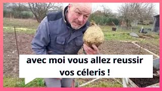 Fevrier au potager  vous ne direz plus jamais quotquot j ai des petits céleris quotquot [upl. by Gintz205]