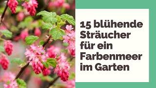 15 blühende Sträucher für ein Farbenmeer im Garten [upl. by Duston720]