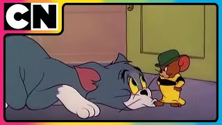 Tom amp Jerry 😺🐭  Million Dollar Chaos Faction  Cartoon for Kids  Only on Cartoon Network [upl. by Ytrebil]