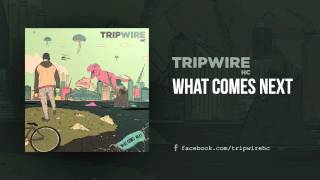 Tripwire HC  What Comes Next Full Album [upl. by Tirzah473]