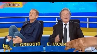 Bufera su Striscia la Notizia il fuori onda inchioda Greggio e Iacchetti [upl. by Haidedej]