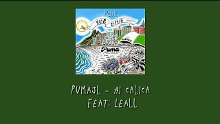 Pumajl  AI CALICA Feat Leall  Letra [upl. by Orelu]