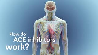 How do ACE inhibitors work [upl. by Haraj]