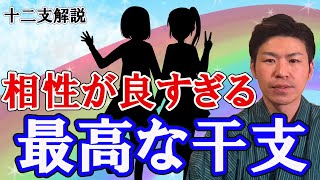 干支の相性「最高」と「最悪」あなたはどっち？特殊な干支もある。十二支の陰と陽を風水で解説。 [upl. by Ljoka973]