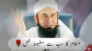 Good behavior🌹Molana Tariq Jameel bayan ❤ [upl. by Dessma705]