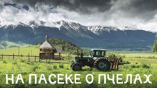 Разговор с пчеловодом о пчелах Пасека Климовых КатонКарагай ВКО [upl. by Keily]